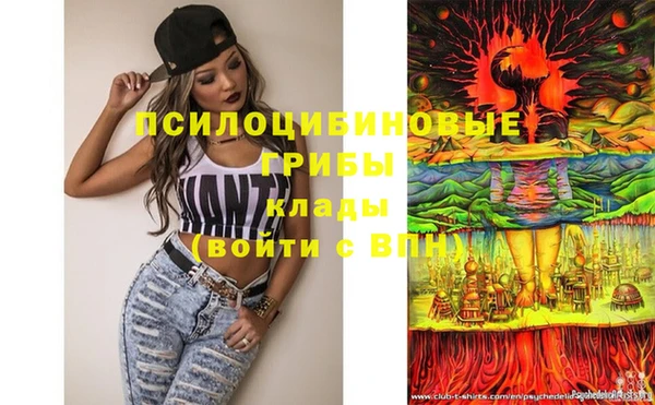 МДПВ Гусиноозёрск