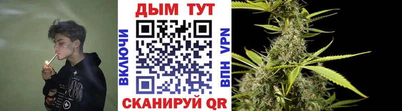 Купить закладки  Прохладный  МАРИХУАНА THC 21% 